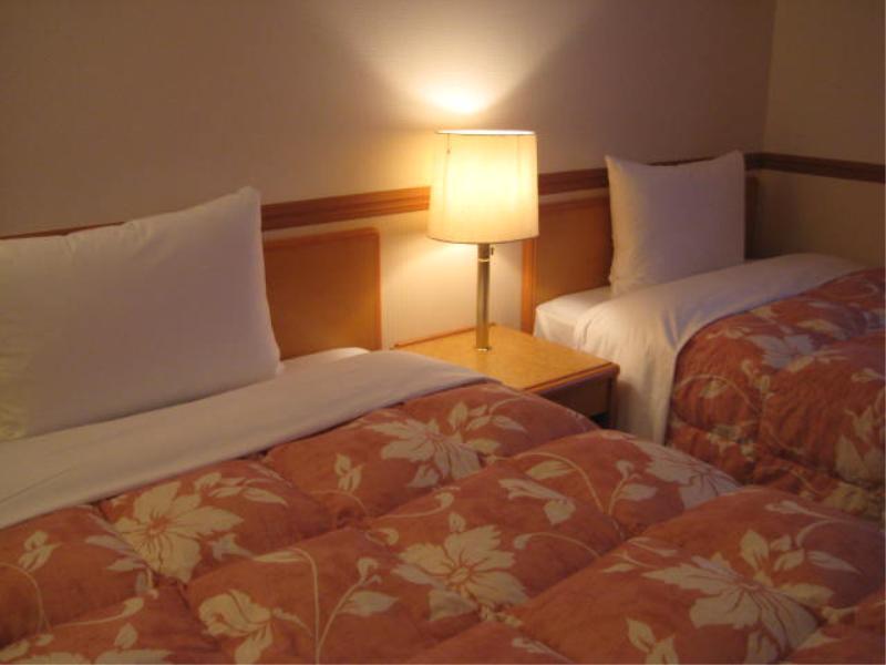 Toyoko Inn Niigata Ekimae Exterior foto